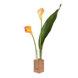 Figr1 Wooden Block 2 Mahogany